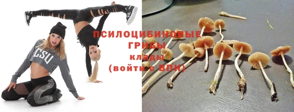 твердый Верхний Тагил