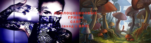 не бодяженный Богородск