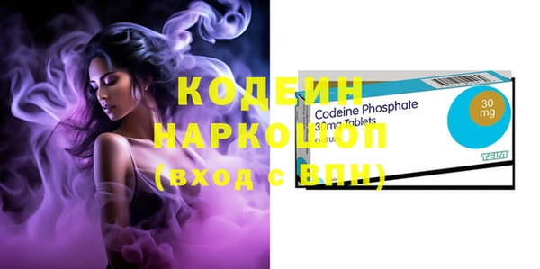 шишки Белоозёрский